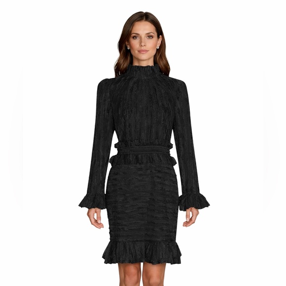 Dresses & Skirts - Stunning Feathered Ruffle Dress The Alessea
